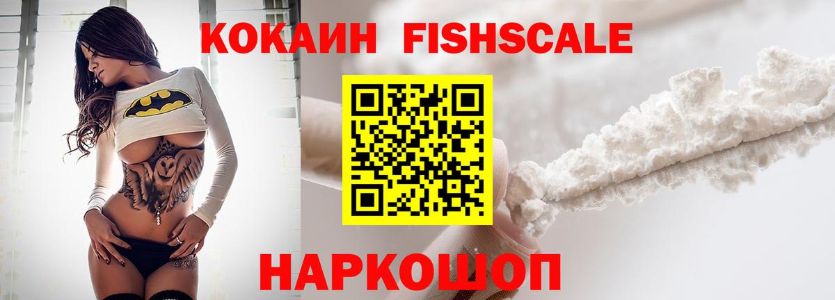 COCAIN Fish Scale  Вход с VPN  COCAIN Эквадор  Ефремов 