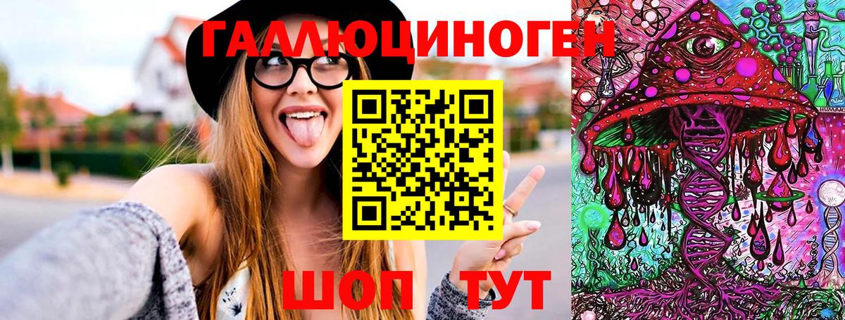 Галлюциногенные грибы Psilocybine cubensis Ефремов