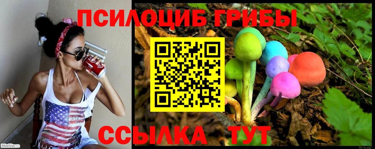 Ефремов  Галлюциногенные грибы GOLDEN TEACHER  Вход с VPN 